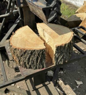 Large Logs (Bag)